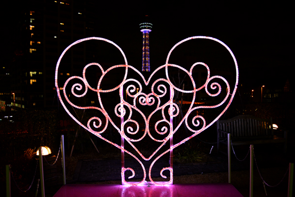 121224 amerikayama DSC_0036.jpg